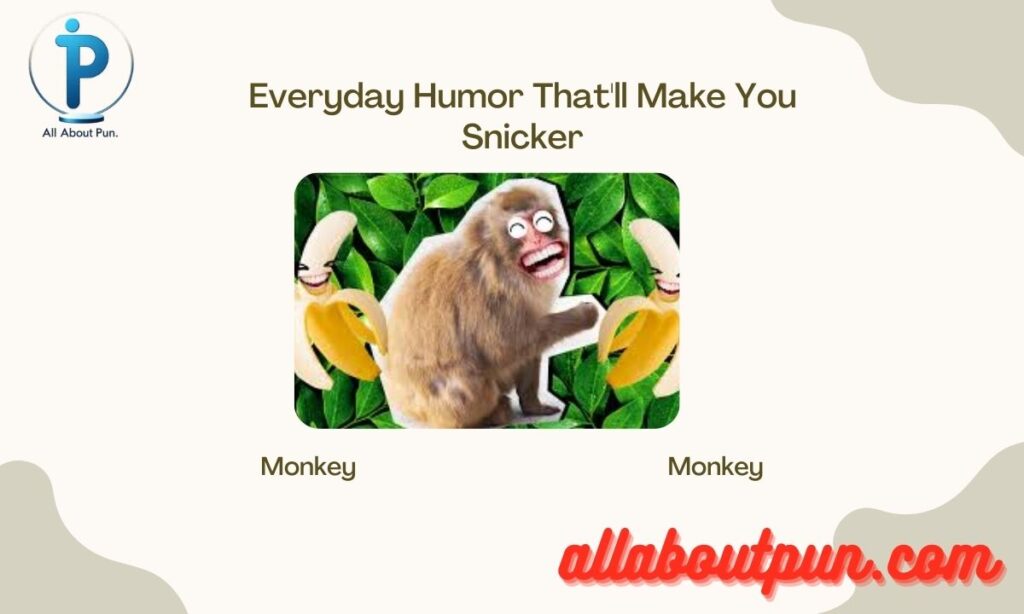 Everyday Humor That'll Make You Snicker