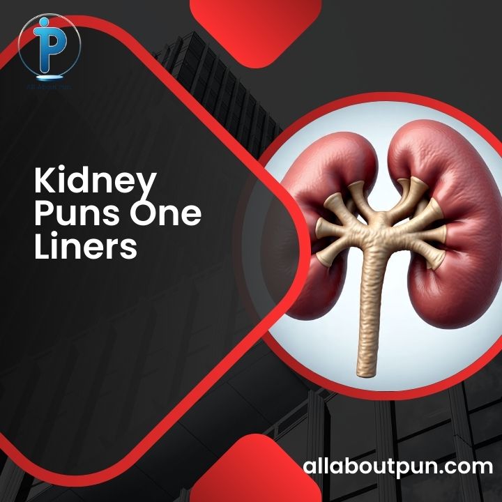 Kidney Puns One Liners