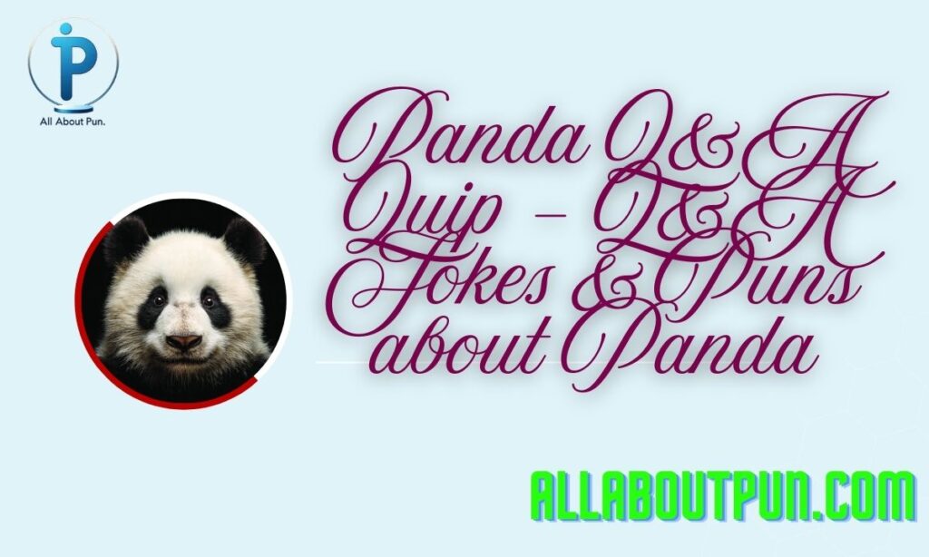Panda Q&A Quip – Q&A Jokes & Puns about Panda