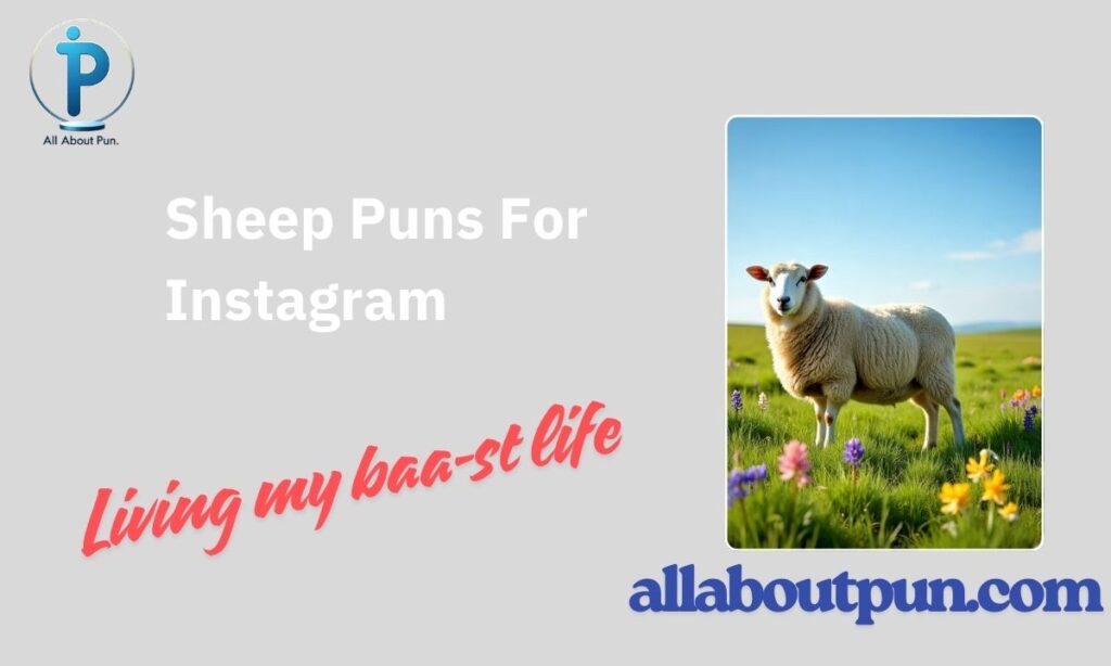 Sheep Puns For Instagram