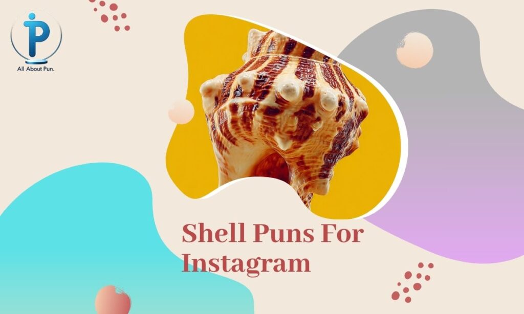 Shell Puns For Instagram
