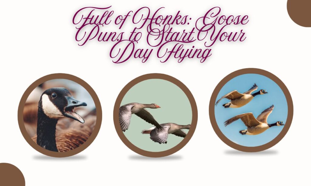Full of Honks: Goose Puns to Start Your Day Flying