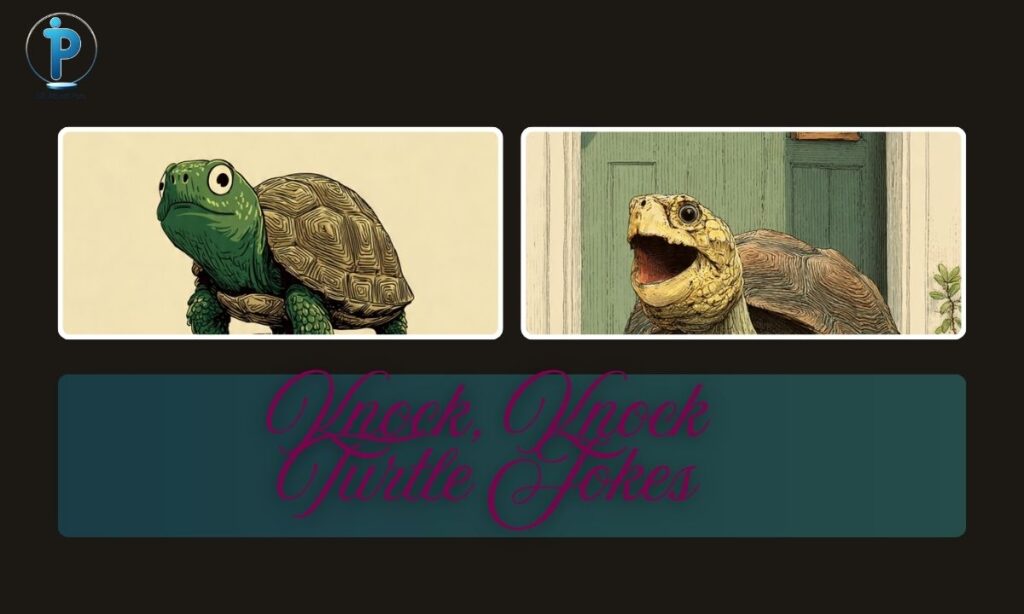 Knock, Knock Turtle Jokes