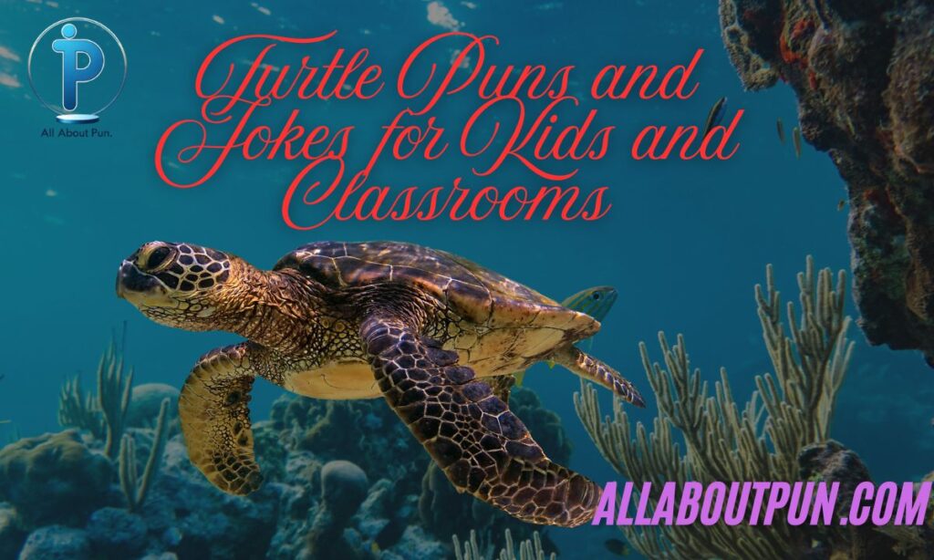Turtle Puns and Jokes for Kids and Classrooms