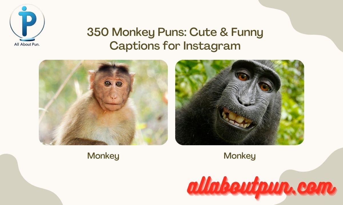 350 Monkey Puns: Cute & Funny Captions for Instagram
