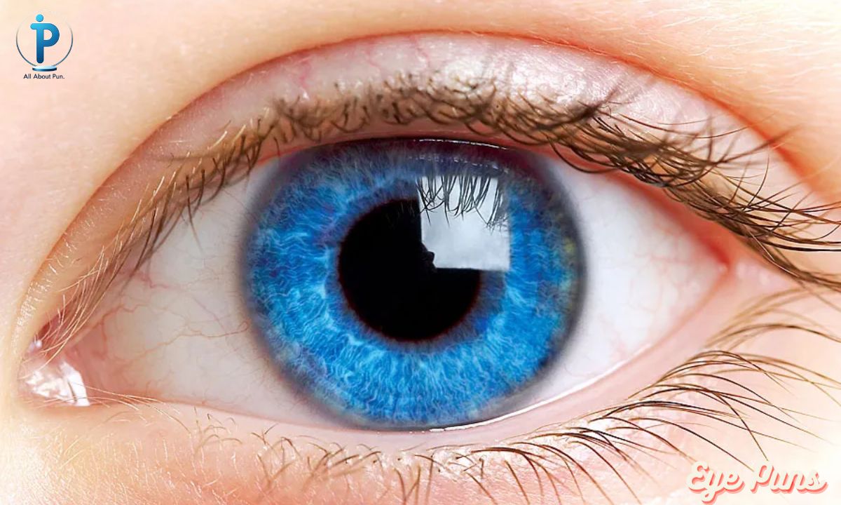 450 Eye Puns & Jokes: Short One Liners Captions For Adults