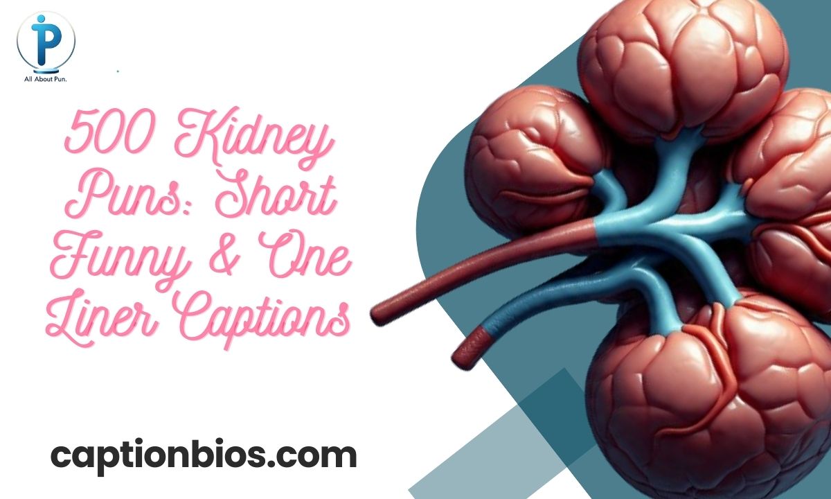 500 Kidney Puns: Short Funny & One Liner Captions